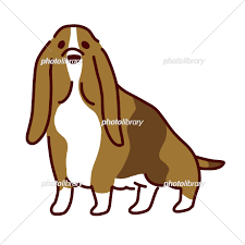 We did not find results for: ã‹ã‚ã„ã„ãƒã‚»ãƒƒãƒˆãƒã‚¦ãƒ³ãƒ‰ã®ã‚¤ãƒ©ã‚¹ãƒˆ ã‚¤ãƒ©ã‚¹ãƒˆç´ æ 6664155 ãƒ•ã‚©ãƒˆãƒ©ã‚¤ãƒ–ãƒ©ãƒªãƒ¼ Photolibrary