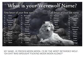 moon moon wolf chart moon moon know your meme