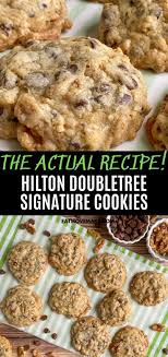 No Bake Cookies Recipe Easy Cookies Recipes Chocolate Chip Doubletree Chocolate Chip Cookie Recipe Chocolate Chip Recipes