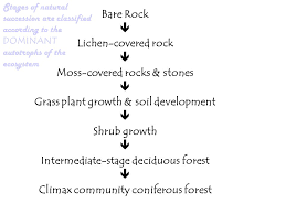 communities ecosystems chapter 37 energy flow the sun is