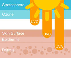 What Is Upf And How Is It Different Than Spf Find The Answers Here Professional Skin Care Products Skin Care Skin Care Spa