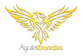 Pagina oficial del equipo de fútbol águilas doradas. Superindustria Cancelo Parcialmente La Marca Aguilas Doradas Y Solo Continuara Vigente Para Identificar Servicios Deportivos Superintendencia De Industria Y Comercio