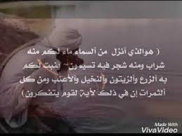 هو الذي انزل من السماء ماء لكم