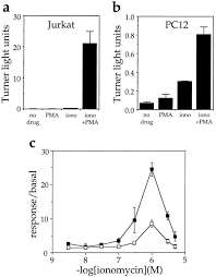 Therefore, it only makes sense to provide real education free from propaganda. Induction Of Nfat Mediated Transcription By Gq Coupled Receptors In Lymphoid And Non Lymphoid Cells Journal Of Biological Chemistry