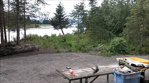 Maybe you would like to learn more about one of these? Saturday Creek Cabin In Juneau Alaska Youtube