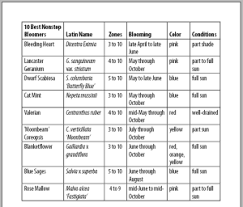 want to import from excel into indesign