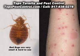 When it comes to bed bugs, the old adage applies: Bed Bugs Fort Worth Bug Bites At Night Arlington