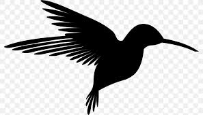 880 x 670 jpeg 238 кб. Hummingbird Silhouette Drawing Clip Art Png 788x468px Hummingbird Art Beak Bird Black And White Download Free