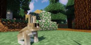 Mod 1.16.3/1.15.2 on windows and mac : Snow Real Magic Mod For Minecraft 1 12 2 Enriches Snow Behavior