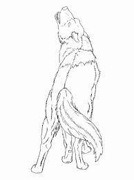 This is a large animal, but black bears can run up to 40kmph, they are expert tree climbers, and they can swim (nevertheless, polar bear is the most efficient in this domain). Spice And Wolf Anime Coloring Pages Printable Best Of Wolf Coloring Free Wolf Coloring Tran Dolphin Coloring Pages Dragon Coloring Page Animal Coloring Pages