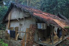 Unsur kayu tersebut menghasilkan kemewahan terbaik dengan suasana tropis nan elegan di ruang terbuka. Rumah Berkonsep Aturan Adat Khas Suku Baduy Indonesia Kaya