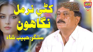 Roh Rehanio || Wazeer Ali Shah || New Album 789 || Haseen Production  Official