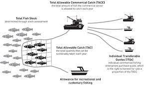 Maybe you would like to learn more about one of these? Tac