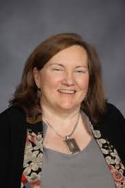 DuPage High School District 88