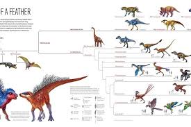 My son likes to use the proper names for dinosaurs, and this chart will be tremendously helpful in that endeavor. Dinosaurs National Geographic Society