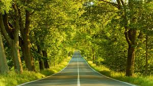 20373 views | 18632 downloads. Wallpaper Fotos Kostenlos Herunterladen Naturliche Landschaft Baum Natur Grun Strasse 756577 Wallpaperuse