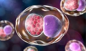 Image result for chlamydia symptoms