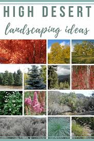 Front yard landscaping is crucial in that it can be the attraction of your house that you will be proud of. High Desert Landscaping Ideas Making Manzanita