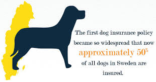 We did not find results for: A Short History Of Pet Insurance Around The World Petfirst