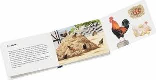 Findet markusruehl einkommen und vermögen heraus., markusruehl geschätztes einkommen. Tiere Auf Dem Bauernhof Von Thomas Muller Portofrei Bei Bucher De Bestellen