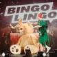 Bingo Lingo - The Christmas Special! event image
