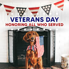 Obi Pet Supplies | To ALL Who protect and serve... We sincerely thank and  salute you 🤍🙏 Today is Veterans Day! A day to honor all those who have  served in... | Instagram