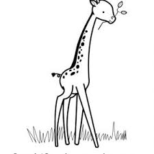 Si vous posez la question: Apprendre A Dessiner Une Girafe En 3 Etapes