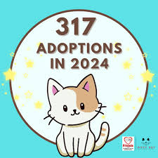 What a year!!! In our first full year in our new building, we adopted out  317 cats and kittens!! We can't thank our volunteers and supporters enough  for making this vision come
