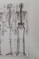 How To Make A Skeleton Model Out Of Clay How To Sculpt A Skeleton Tutorial By Olgatarta On Deviantart With Images Sculpting Polymer Clay People Art Dolls
