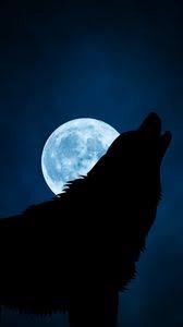 We hope you enjoy our growing collection of hd images to use as a background or home screen for your smartphone or computer. Wolf Iphone 8 7 6s 6 For Parallax Wallpapers Hd Desktop Backgrounds 938x1668 Images And Pictures