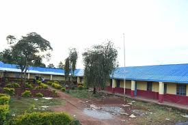 Controversial pastor now claims president kenyatta behind ndindi nyoro's harassment. Ndindi Nyoro We Are Striving To Make All Kiharu Schools Facebook