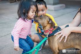 Located in sandiego ca we rescue puppies from the hills of baja, mexico and find them forever homes! Punch With Kiddos Rescue Dogs Animals And Pets Pets