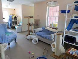 Maybe you would like to learn more about one of these? Animal Rehabilitation Sanctuary In Ct Our Companions Animal Rescue Sanctuary