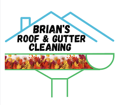 BRIAN'S ROOF & GUTTER CLEANING