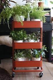 Louise indoor modern iron and glass bar cart. Unexpected Use Of An Ikea Bar Cart Gardening Garden Diy Home Flowers Roses Nature Landscaping Horticulture Ikea Garden Ikea Plants Ikea Bar