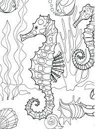 Many sea creatures are true wonders of wildlife. Coloring Page Ocean Underwater Pages Seahorse Adult Sea Creatures Coloring Home