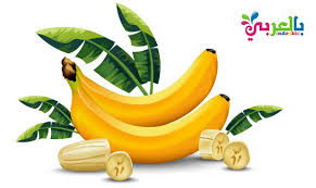 فوائد الموز المدهشة لذكاء طفلك فوائد الموز للاطفال بالعربي نتعلم Banana Fruit Food