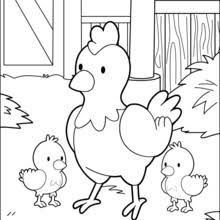 Dibujos para colorear pollo madre y sus bebés - es.hellokids.com