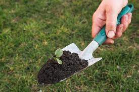 Once you've completed the previous step, you have to continue hand tilling the soil. Using Gardening Trowels When And How To Use A Trowel In The Garden