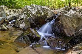 It is on scotts run, just a few yards from where it empties into the potomac. Photography Guide To Scott S Run Nature Preserve Virginia