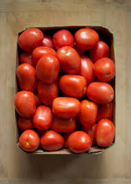 image of tomatoes के लिए इमेज परिणाम