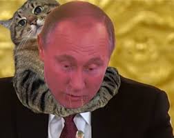 PsBattle: This cat leaning