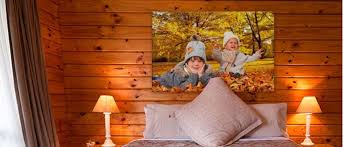 Welche punkte es beim bestellen ihres forex bild was ist das zu bewerten gilt! Auf Forex Oder Auf Schaumplatte Ihr Bild Perfekt In Szene Gesetzt Ringfoto Bensberg Der Olivenzweig In Bergisch Gladb Bensberg
