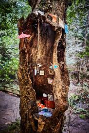 When they arrive in manhattan, gatsby does not tell his parents that are planning a fancy party in the evening. 5 East Bay Spots To Get Even Wetter On A Rainy Day 510 Families