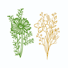 Free Free 145 Dainty Flower Svg Free SVG PNG EPS DXF File
