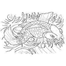 Hi there folks , our most recent coloringpicture that you coulduse with is japanese coy fish coloring pages, published on coy fishcategory. Top 25 Free Printable Koi Fish Coloring Pages Online