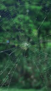 Samsung Galaxy Note 5 Wallpapers Hd Tons of awesome samsung galaxy note 5 wallpapers to download for free.