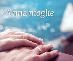 Cerco un modo per riempire il grande vuoto che mi hai lasciato ma è tutto inutile. A Mia Moglie 9788821595929 Renzo Sala A Cura Www Clcitaly Com