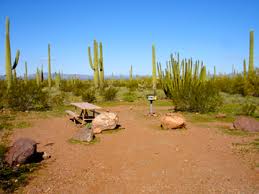 If you are traveling with another rv you contact the resort to get their recommendations on getting two spots that face one another. Alamo Canyon Campground Organ Pipe Cactus National Monument U S National Park Service