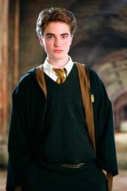 Cedric Diggory En Harry Potter Y El Caliz De Fuego In 2020 Harry Potter Goblet Cedric Diggory Harry Potter Hufflepuff